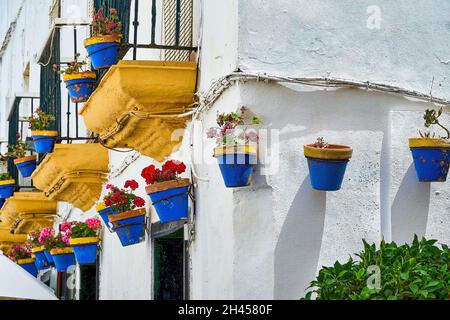 Die Straße von cadez mit ihren Fassaden, die an einem heißen Sommertag mit wunderschönen blauen Töpfen geschmückt sind. Stockfoto