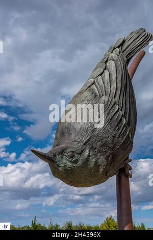 Bernalillo County, State of New Mexico Öffentliche Kunstsammlung: 'Nuthatch' 2019 von Tim Mullane Stockfoto