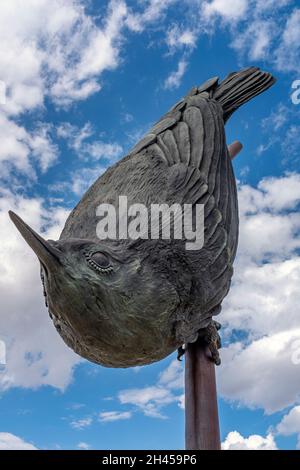 Bernalillo County, State of New Mexico Öffentliche Kunstsammlung: 'Nuthatch' 2019 von Tim Mullane Stockfoto