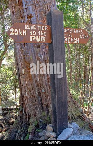 Wanderzeichen auf dem Blue Derby Mountainbike-Netz Stockfoto