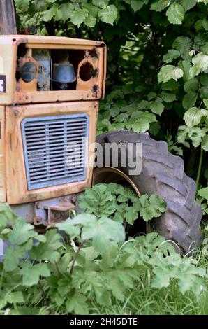 Altmodischer Vintage verlassene klassische Traktor auf dem Bauernhof Stockfoto