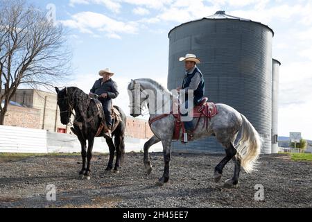 Tieton, Washington, USA. Oktober 2021. Manuel Garcia erwärmt sein Pferd für eine Vorstellung beim Dia de los Muertos Community-Gottesdienst in Tieton, Washington, am Sonntag, den 31. Oktober 2021. Die jährliche Feier findet in Tieton Arts & Humanities statt, um an verstorbene Freunde und Familienmitglieder zu erinnern und ihre spirituelle Reise zu unterstützen. Quelle: Paul Christian Gordon/Alamy Live News Stockfoto