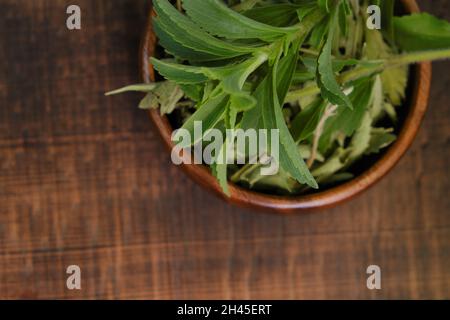 Stevia rebaudiana.trockene und frische Stevia in einer Holzschale.natürliche kalorienarme Süßstoffe aus biologischem Anbau.natürliche Alternative zu Zucker. Stockfoto
