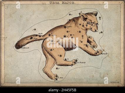 Astrologie: Sternbilder, der große Bär. Farbige Gravur. Stockfoto