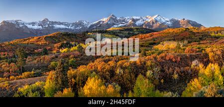 Das erste Licht des Tages trifft auf die San Juan Mountains und einen Berghang mit lebhaftem Herbstlaub an der Dallas Divide, Colorado. Stockfoto