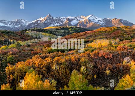 Das erste Licht des Tages trifft auf die San Juan Mountains und einen Berghang mit lebhaftem Herbstlaub an der Dallas Divide, Colorado. Stockfoto