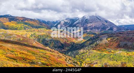 Lebhafte Herbstfärbung in Buscheichenwäldern und Espenwäldern im Manti-La Sal National Forest unterhalb des Haystack Mountain in der Nähe von Moab, Utah. Stockfoto