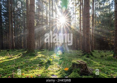 Ein glücklicher Mann sitzt an einem Baumstamm in einem herbstlichen Wald und genießt die Sonnenstrahlen, die durch den Morgennebel scheinen. Stockfoto