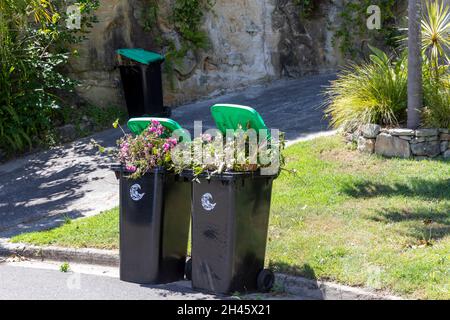 Zwei grüne Kompost-Abfallbehälter für den Garten, die für die sammlung und das Recycling durch den rat in Sydney, Australien, mit Gartenvegetation, ausgegeben wurden Stockfoto