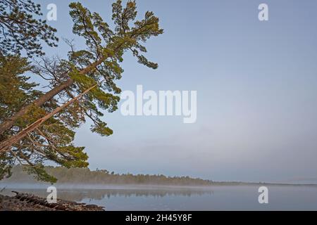 Nebliger Morgen in den Great North Woods am Saganaga Lake in den Boundary Waters in Minnesota Stockfoto