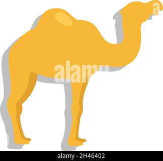 Afrikanisches Kamel, Illustration, Vektor, auf weißem Hintergrund. Stock Vektor