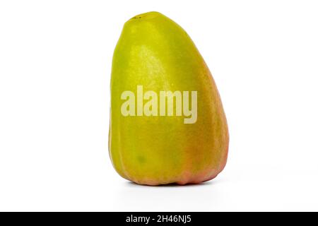 Ein reifer und verzehrferer Rosenapfel, bekannt als Feinkosthonig, hat eine grüne Farbe und einen sehr süßen Geschmack. Diese Art kommt aus Deli Indonesien. Stockfoto