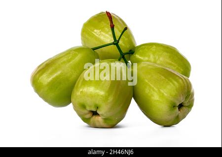 Ein reifer Rosenapfelstiel und verzehrfertig, bekannt als Jambu Madu Deli, hat eine grüne Farbe und einen sehr süßen Geschmack. Diese Art stammt von Deli Indone Stockfoto