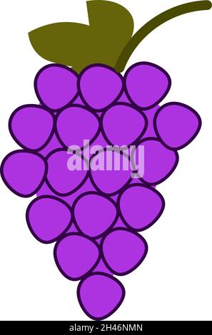 Violette Traube, Illustration, Vektor, auf weißem Hintergrund. Stock Vektor