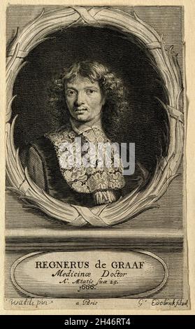 Reinier de Graaf. Linienstich von G. Edelinck und J. Edelinck, 1666, nach H. Watélé. Stockfoto