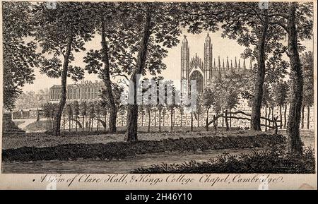 Clare Hall und King's College Chapel, Cambridge: Blick durch die Bäume auf dem Rücken. Liniengravur. Stockfoto