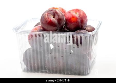 Gepackte schwarze Pflaume auf weißem Hintergrund. Kombiniert mit einem reifen schwarzen Pflaumenton. Nahaufnahme Stockfoto