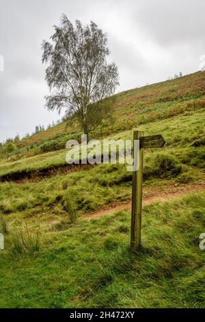 Wanderroute Fingerpost auf Moor Stockfoto