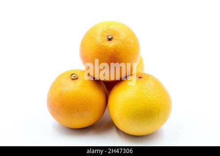 Grapefruit auf weißem Hintergrund. Zusammen mit dem reifen Grapefruitton-Farbton. Nahaufnahme Stockfoto