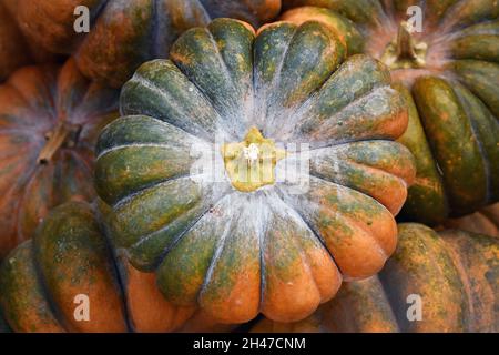 Draufsicht auf grünen und orangen Kürbis 'Musque de Provence' im Stapel Stockfoto