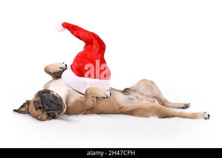 Dumme französische Bulldogge mit Weihnachtsmann-Hut auf dem Bauch, der auf dem Rücken liegt Stockfoto