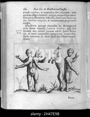 Zwei Figuren mit Anomalien, beide zeigen ein halb menschliches und halb Hundemonster Stockfoto