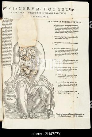 Anatomische flüchtige Blätter Stockfoto