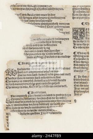 Anatomische flüchtige Blätter Stockfoto