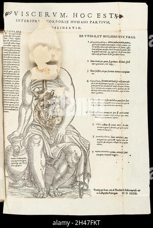 Anatomische flüchtige Blätter Stockfoto