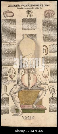 Anatomische flüchtige Blätter Stockfoto
