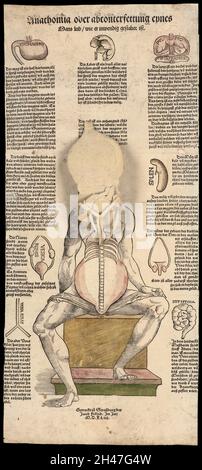Anatomische flüchtige Blätter Stockfoto
