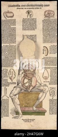 Anatomische flüchtige Blätter Stockfoto