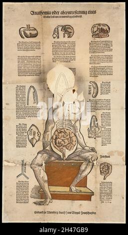 Anatomische flüchtige Blätter Stockfoto