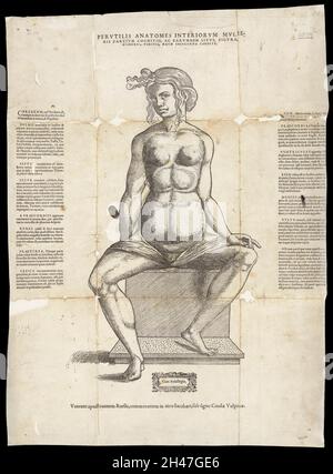 Anatomische flüchtige Blätter Stockfoto