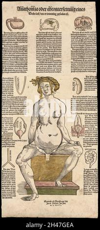 Anatomische flüchtige Blätter Stockfoto