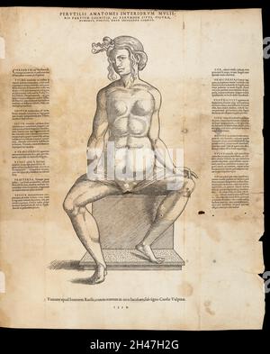 Anatomische flüchtige Blätter Stockfoto