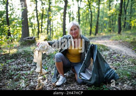 Ältere Ökologin, die im Wald Abfälle aufholt. Stockfoto