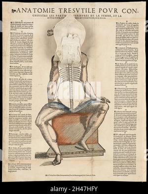 Anatomische flüchtige Blätter Stockfoto