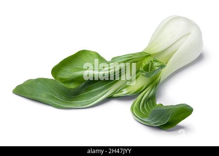 Einzelne frische rohe bok choy Nahaufnahme isoliert auf weißem Hintergrund Stockfoto