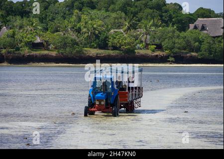 Eine Traktorfähre, die bei Ebbe einen Planwagen mit Gästen über das freiliegende Meeresbett auf Chale Island, Kenia, fährt Stockfoto