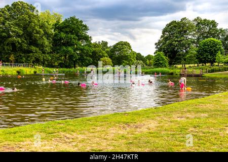 Beckenham Place Park Badesee, London, Großbritannien Stockfoto