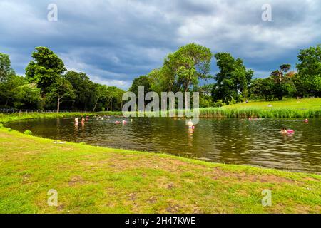 Beckenham Place Park Badesee, London, Großbritannien Stockfoto