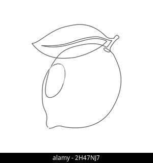 Zitrone. Eine Linie zeichnen. Vektor Zitrone im Linienstil Stock Vektor