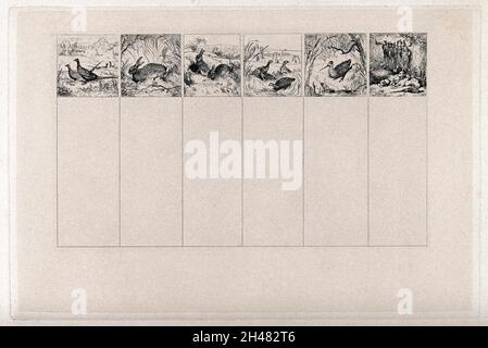 Wild und Jagd, sechs separate Bilder: Zwei Phasane; ein Hase; zwei Kaninchen; vier Birkhühner (?); eine Schnepfe (?); Zwei Hunde bewachen ein Gespann toter Wildtiere, die am Ast eines Baumes hängen. Ätzen nach E.H. Landseer, 1820/1848. Stockfoto