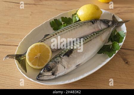 Due sgombri nel piatto bianco con limone su tavolo di legno 5 Stockfoto