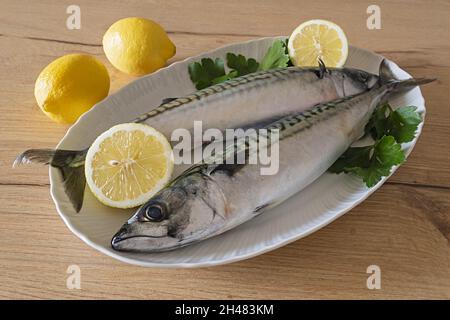 Due sgombri nel piatto bianco con limone su tavolo di legno 10 Stockfoto