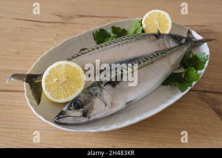 Due sgombri nel piatto bianco con limone su tavolo di legno Stockfoto