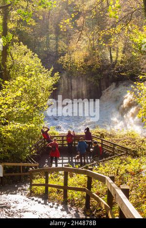 Aysgarth Falls, Aussichtsplattform der Middle Falls, North Yorkshire, England, Großbritannien Stockfoto