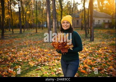 Fröhliche Afrikanerin, die bei schönem Sonnenuntergang im Herbstpark spazieren geht und einen trockenen Strauß gefallener, farbenfroher Blätter sammelt. Sonnenstrahlen fallen auf die Natur b Stockfoto