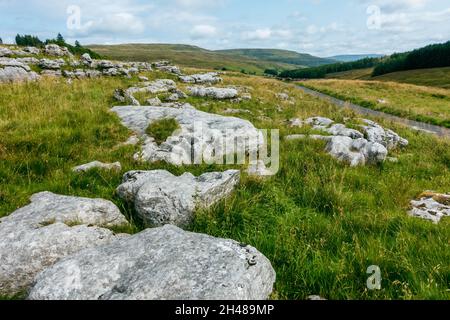 Ruhige Landstraße, die zur Quelle des Flusses Wharfe in Langstrothdale, Yorkshire Dales National Park, Großbritannien, führt Stockfoto